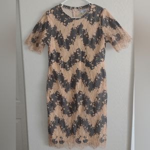 Polagram Two Toned Chevron Lace Sheath Dress Knee Length Short Sleeve Womens -M